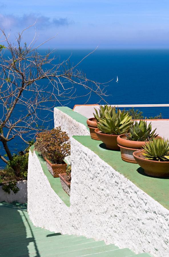 Grazia Scannella 4*
